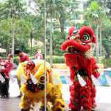 Grup Barongsai Ci Apoy