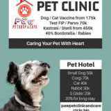 petclinic pakuwon city