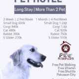 grooming anjing surabaya timur