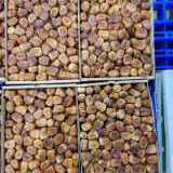 JASA IMPORT KURMA