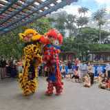 Sanggar Barongsai Koh Romi