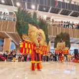 Grup Reog Ponorogo Mardiselo