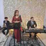 Organ Tunggal Pernikahan Dll