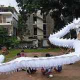 Barongsai Liong Koh Papoy